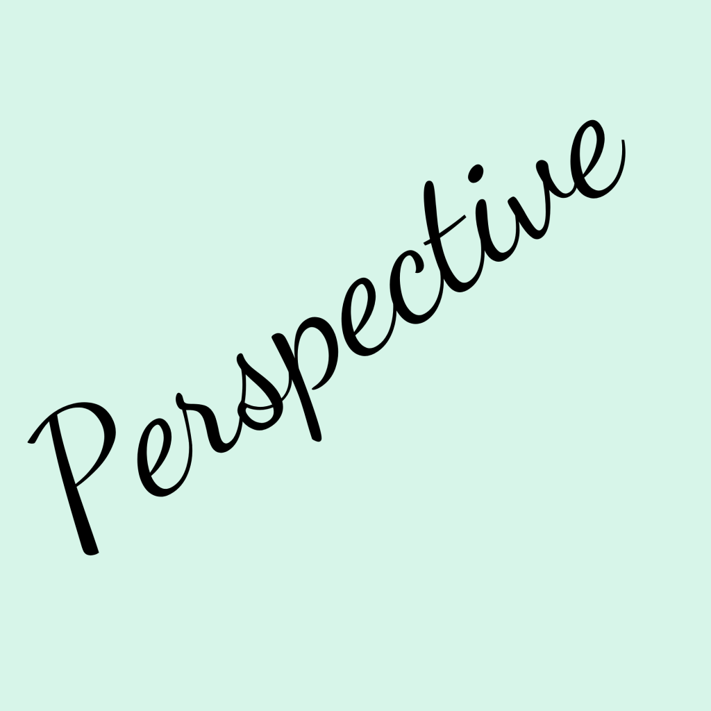It's All About Perspective The Shona Project