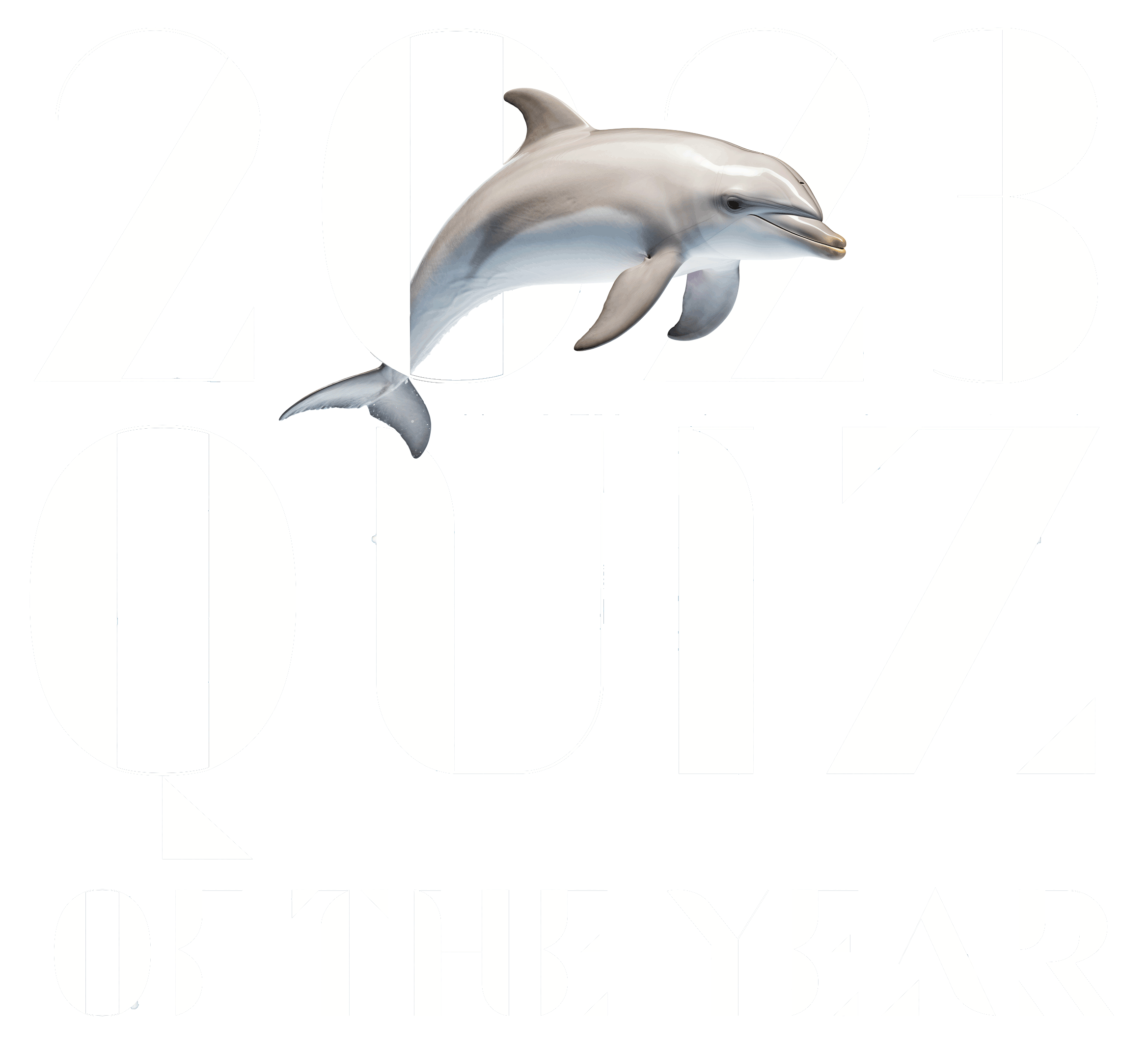 2023 Quiz of the year