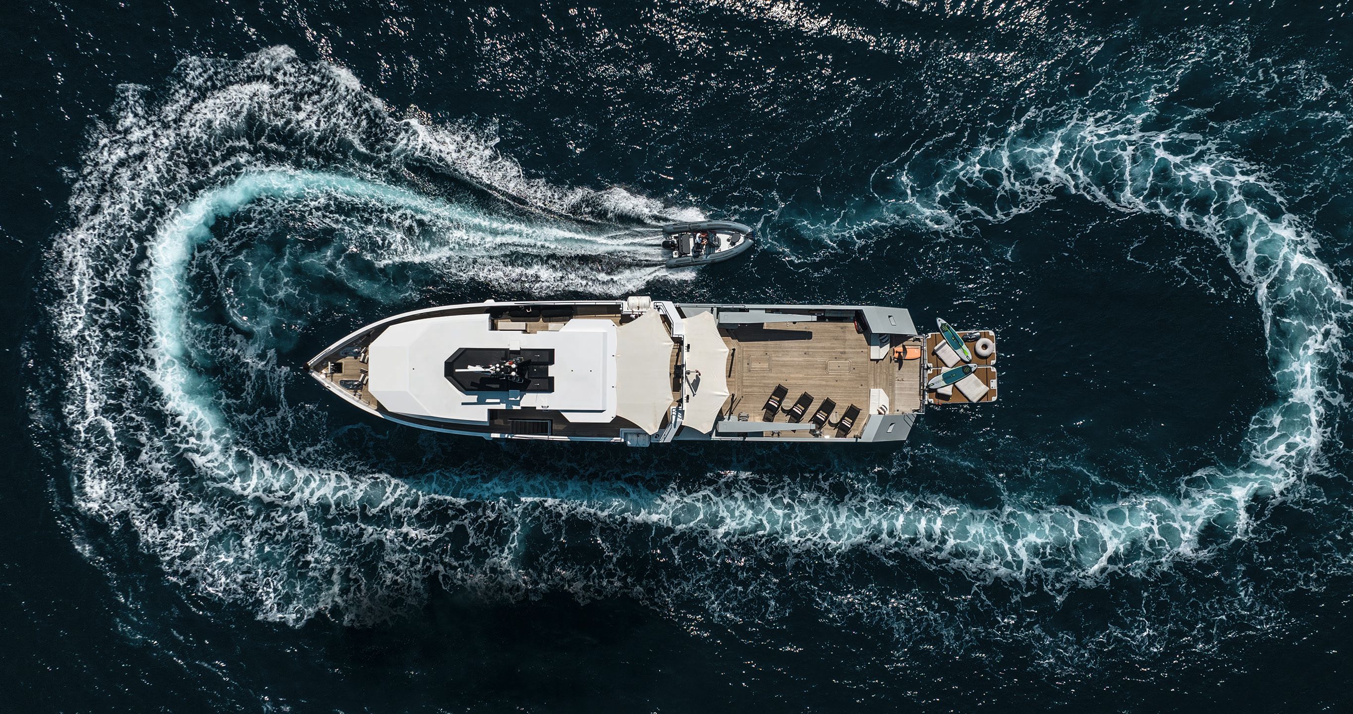 Overhead shot of Fox