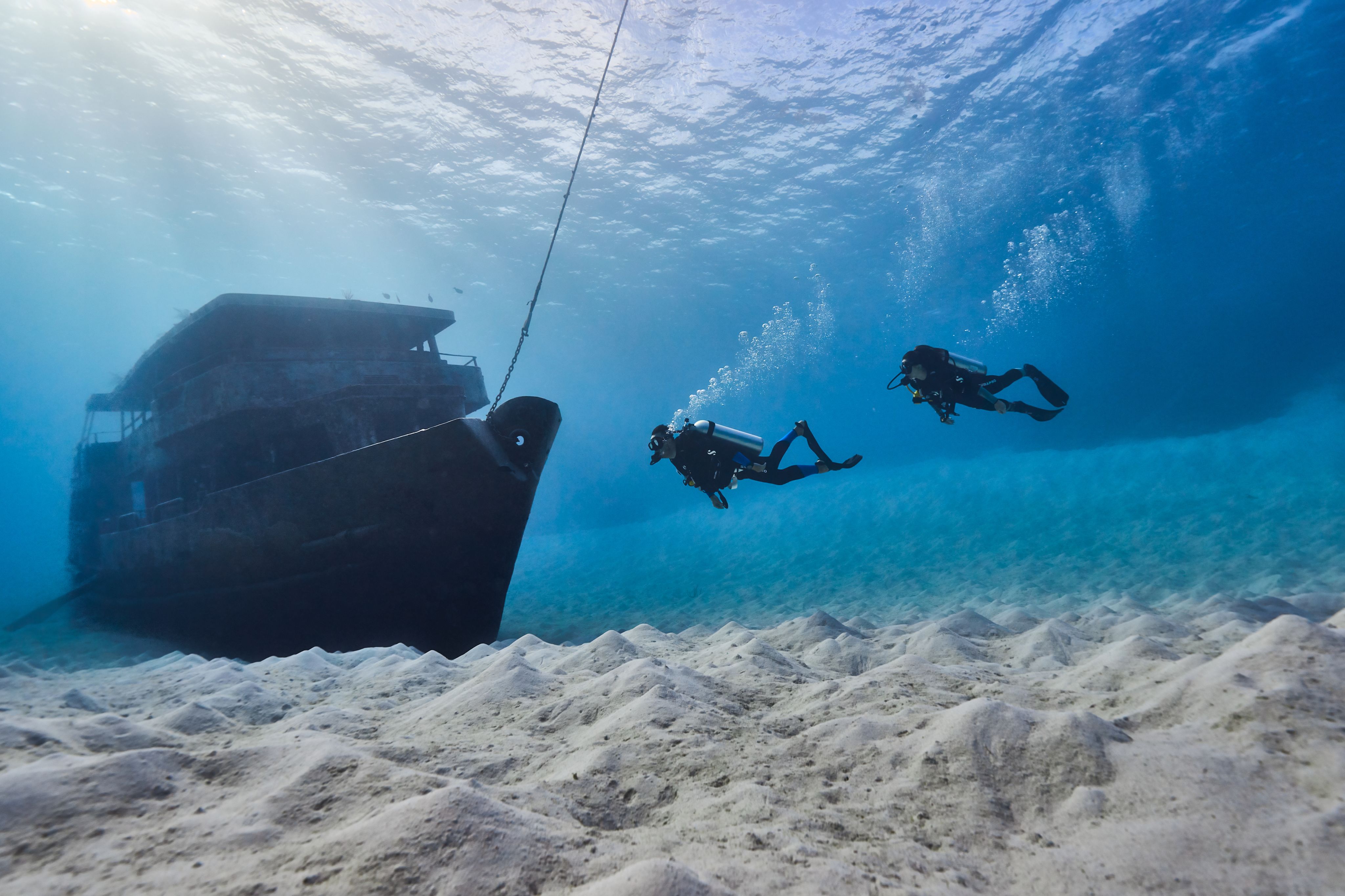 Scuba divers