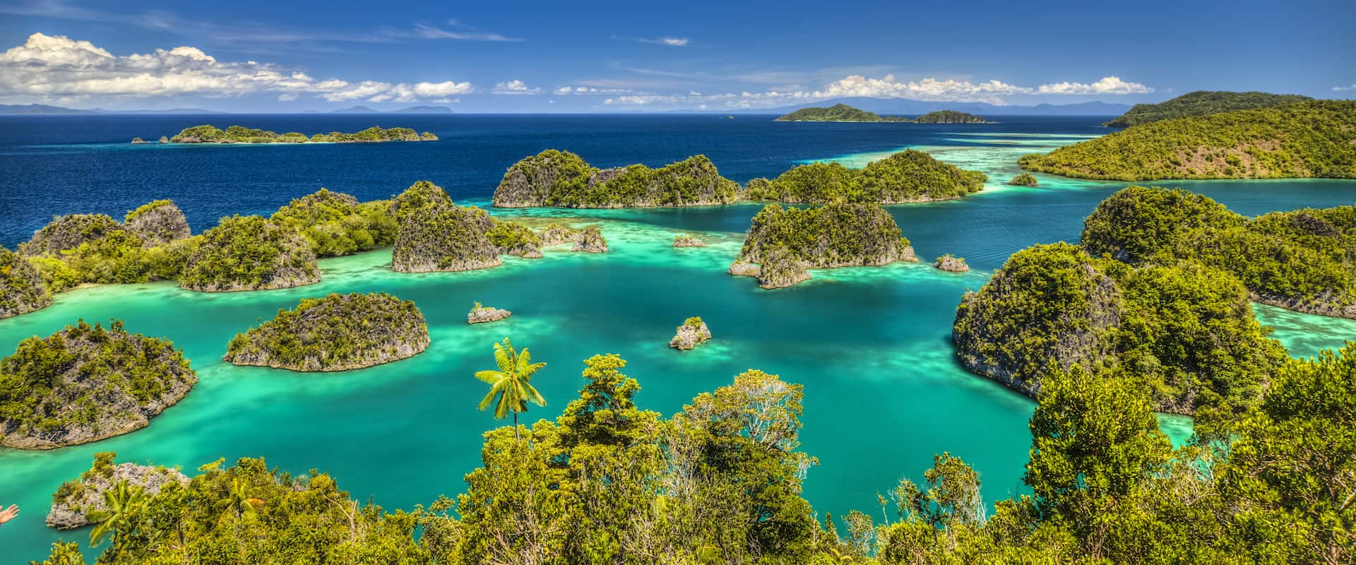 Raja Ampat Fam Islands