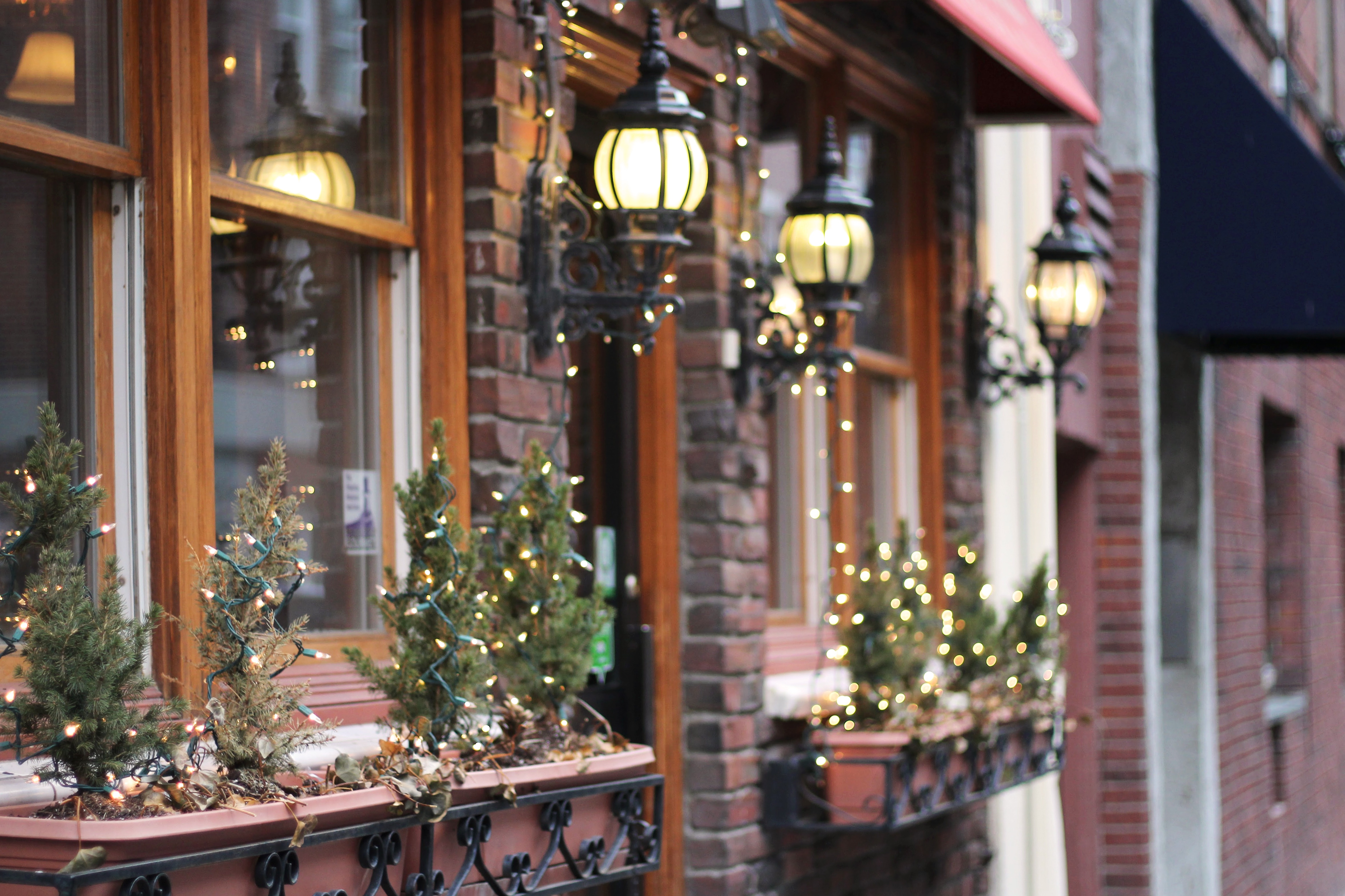 Neon lights and front windows in Beacon Hill