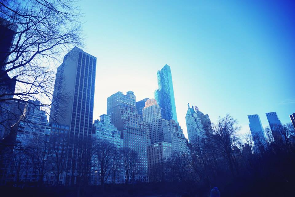 Skyscrapers and the Central Park in New York City