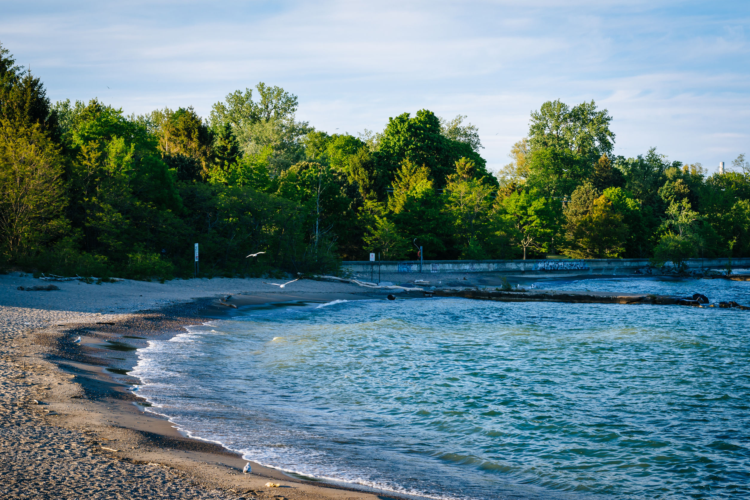 Beach in one of the Toronto Islands