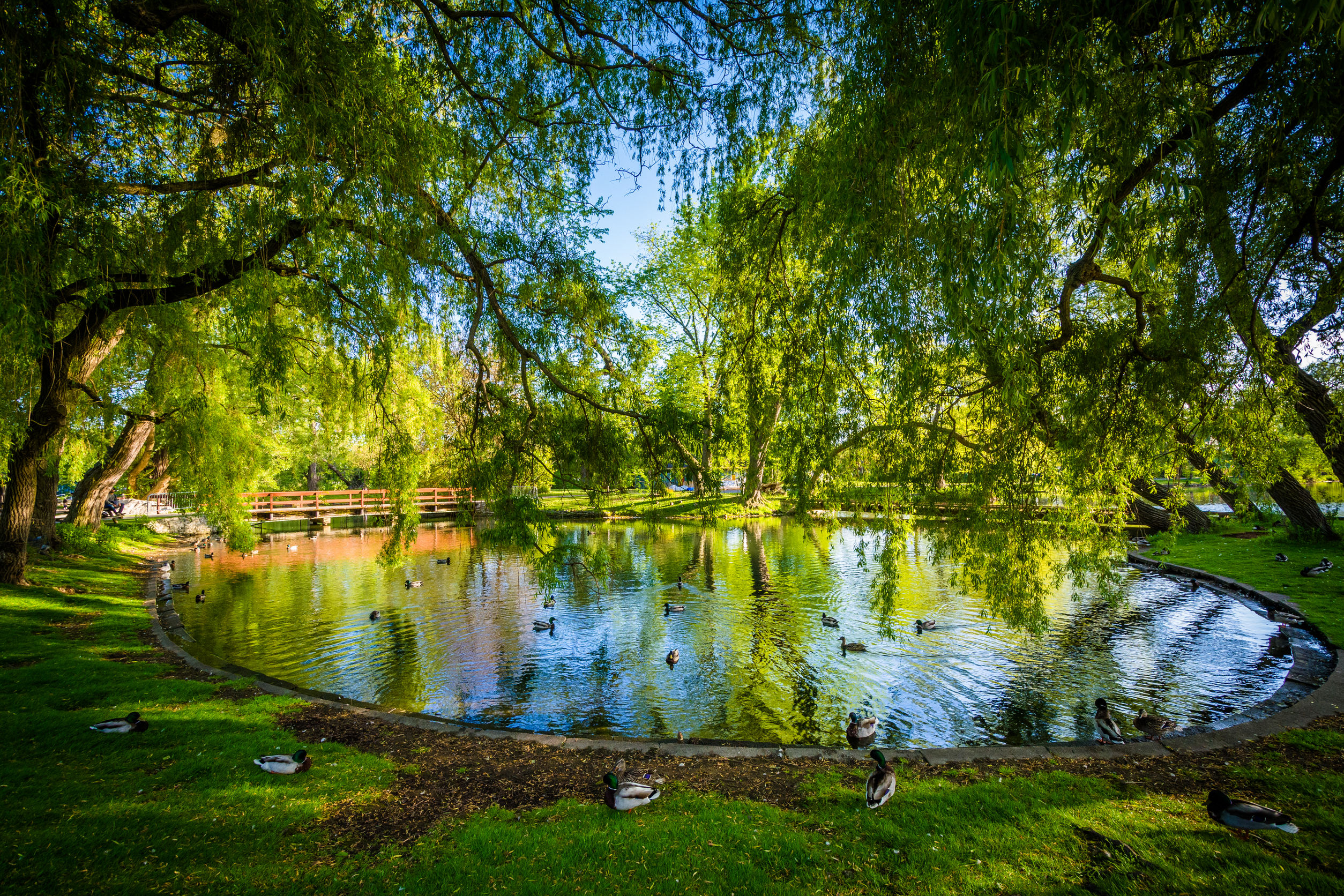 Park in Center Island in Toronto