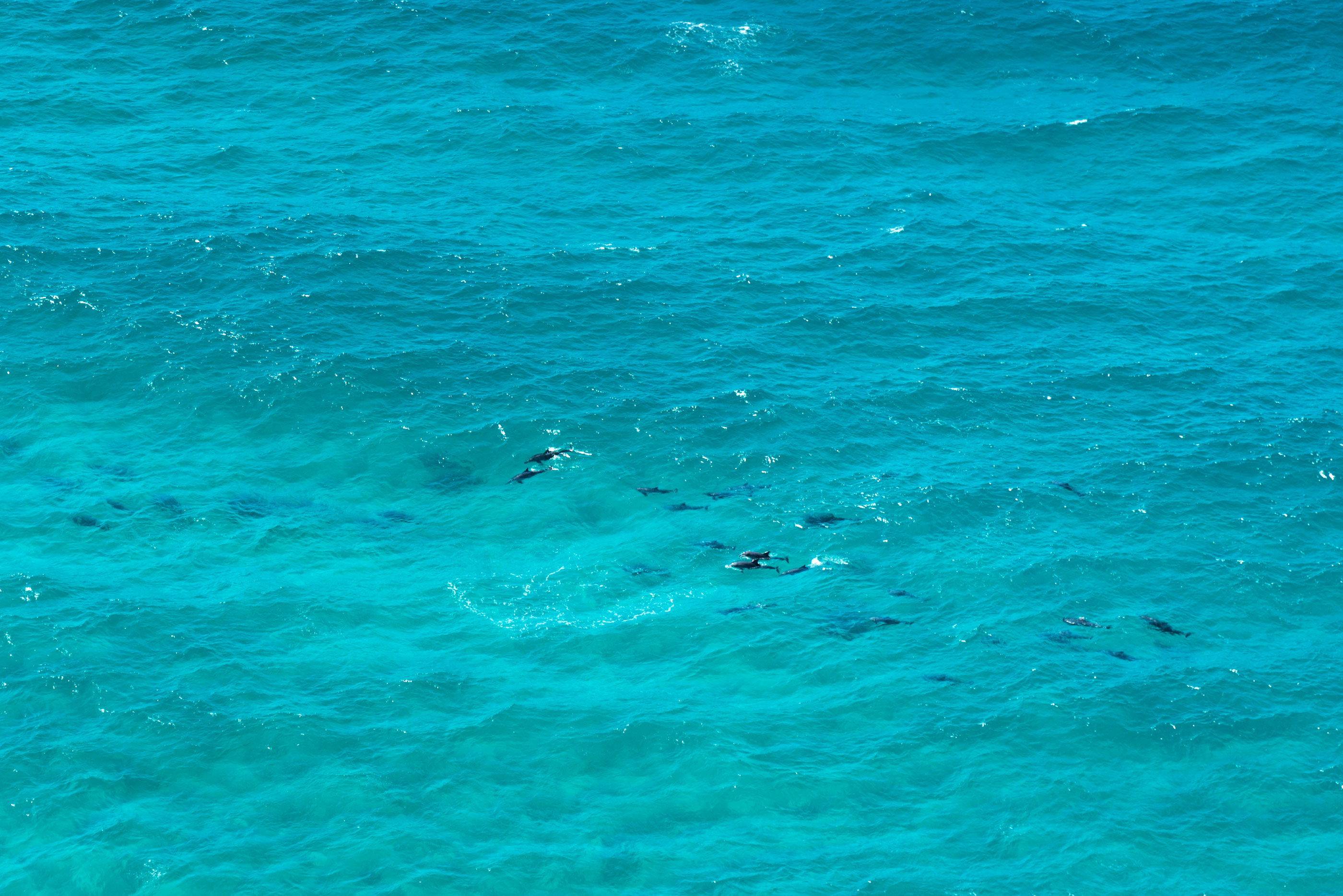 Ocean view at Byron Bay