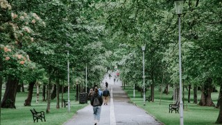 Monthly Meadows 5km Lunchtime Blast! January 7th 2020