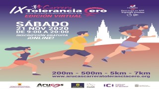 IX TOLERANCIA CERO VIRTUAL