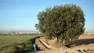 V Volta a Peu a Burjassot Contra la Violència de Gènere i Les Drogodependències