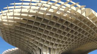 Carrera Popular Parque de Miraflores