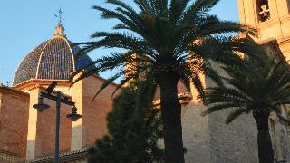 II Cursa per la Igualtat Residencia Cantallops