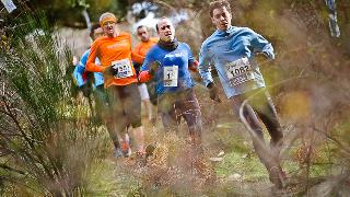 XII Carrera de Navidad de Cercedilla