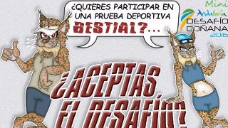 MINI DESAFIO DOÑANA