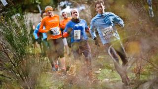 XIII Carrera de Navidad de Cercedilla