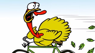 CURSA S´INDIOT 2017