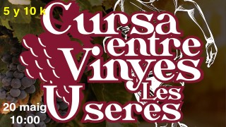 I CURSA ENTRE VINYES LES USERES (supendida)