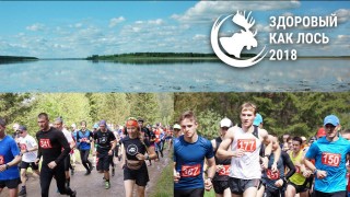 "Здоровый как лось. Курганский этап 2018"