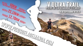 Ultra Picos De La Demanda -  Ezcaray