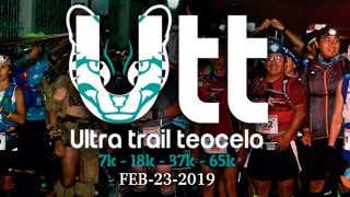 UTT 2019