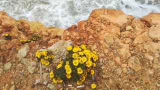 TREKKING DAYS IBIZA 2020