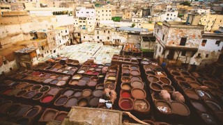 Course festival printemps Zouagha 2019