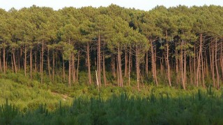 Trail Maamoura 5 Mai 2019