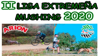 II Liga Canicross Extremadura - Don Benito