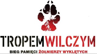 Bieg Tropem Wilczym 2020 w Brzozie