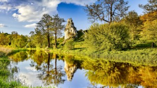 Tropem Wilczym. Bieg pamięci Żołnierzy Wyklętych - Mstów 2020