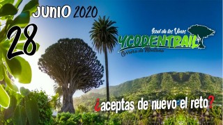 YCODENTRAIL 2020