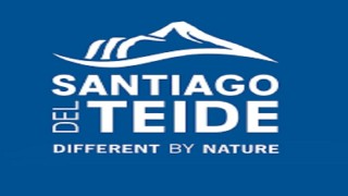 I CARRERA VIRTUAL NOCTURNA PUERTO DE SANTIAGO