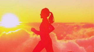 VIRTUAL RACE/ORGANIZADORES