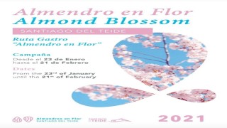 RUTA ALMENDRO EN FLOR SANTIAGO DEL TEIDE