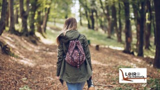 Andaina do Románico