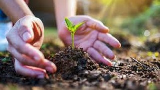 GINCANA MEDI AMBIENT ECOUC