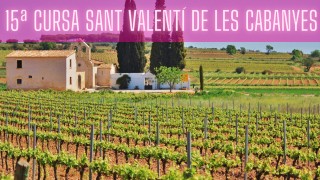 15ª Cursa Sant Valentí de Les Cabanyes