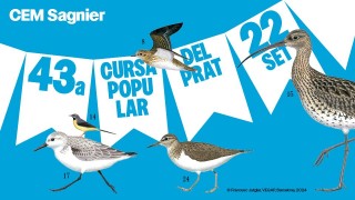 Cursa Popular del Prat de Llobregat 2024