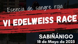 VI EDELWEISS RACE