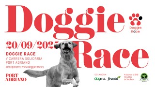 Doggie Race 2025