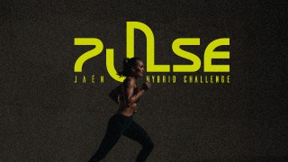 Pulse Hybrid Challenge