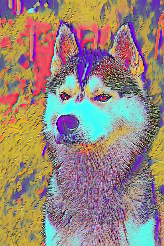 Crazy Pets | budstar_1_copy.jpg