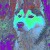 Crazy Pets | budstar_2_copy.jpg