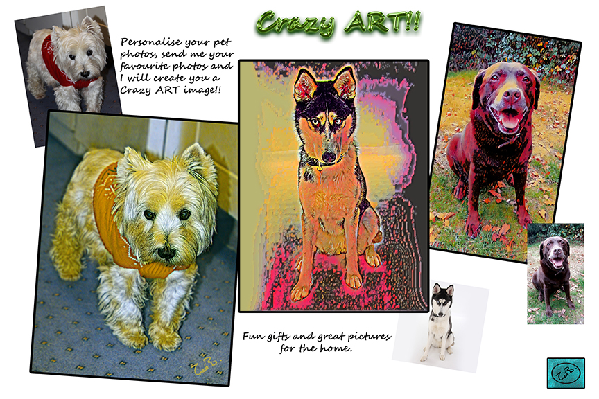 Crazy Pets | crazy_art_poster_copy.jpg