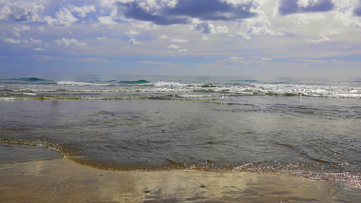 Panoramic Wall Art | the_waves.jpg