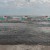 Panoramic Wall Art | dogs_swimming.jpg