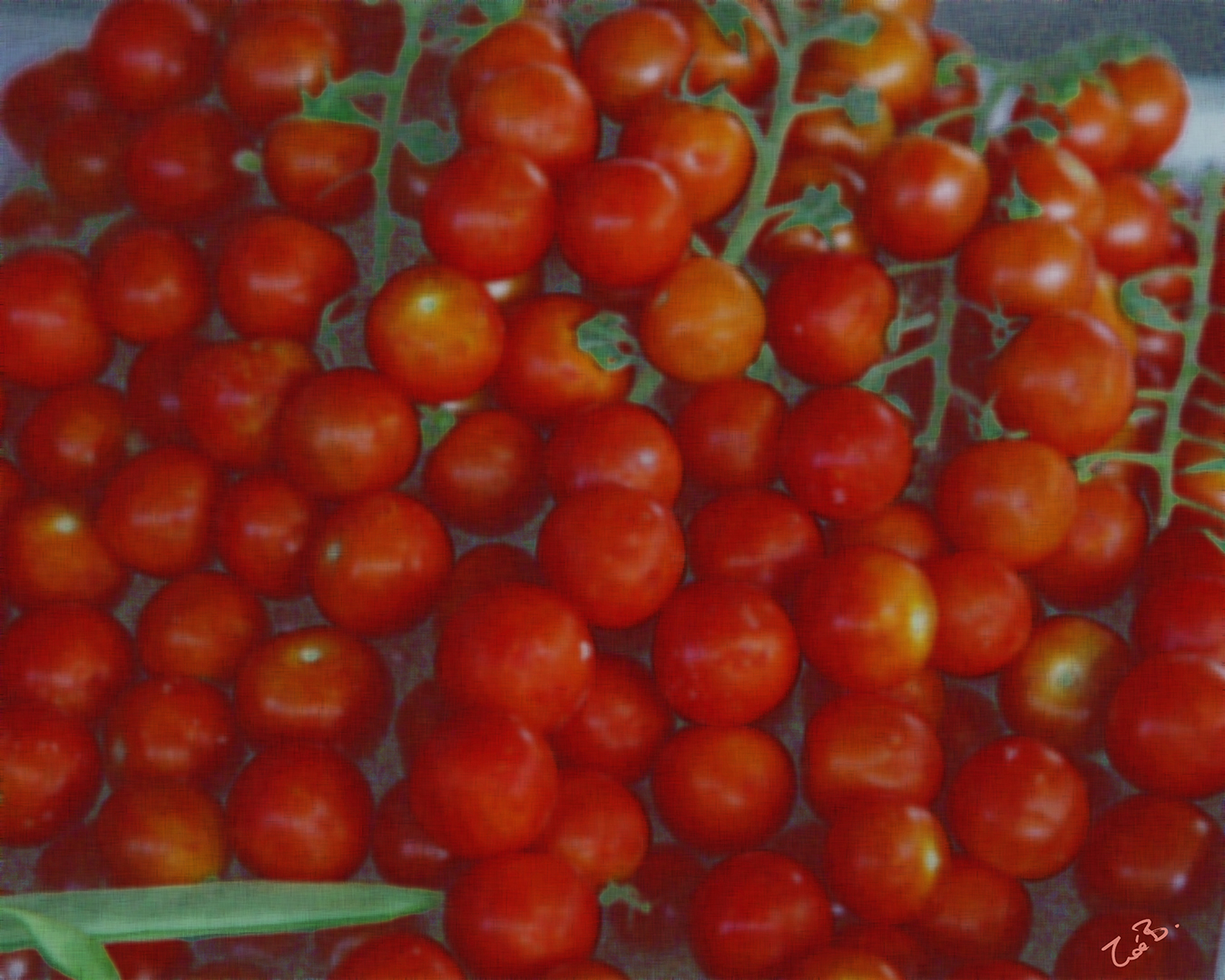 Yummy Eats | toms_water_edge.jpg