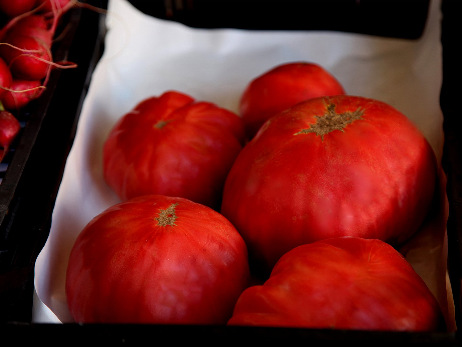 Yummy Eats | sp_toms_16x12.jpg
