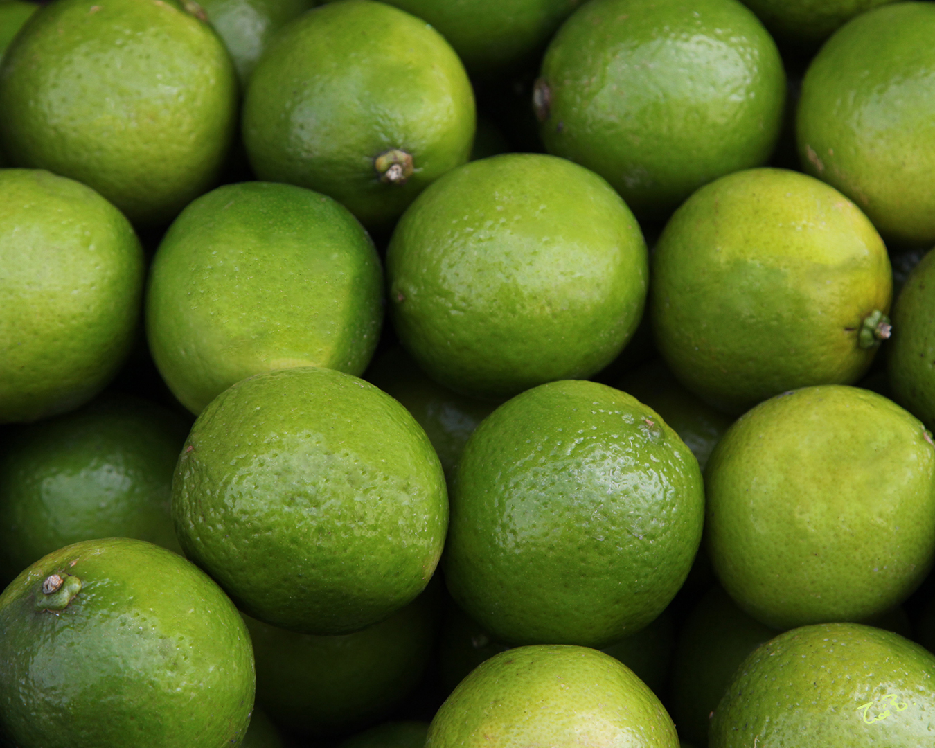 Yummy Eats | limes_10x8.jpg