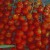 Yummy Eats | toms_water_edge.jpg