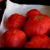 Yummy Eats | sp_toms_16x12.jpg